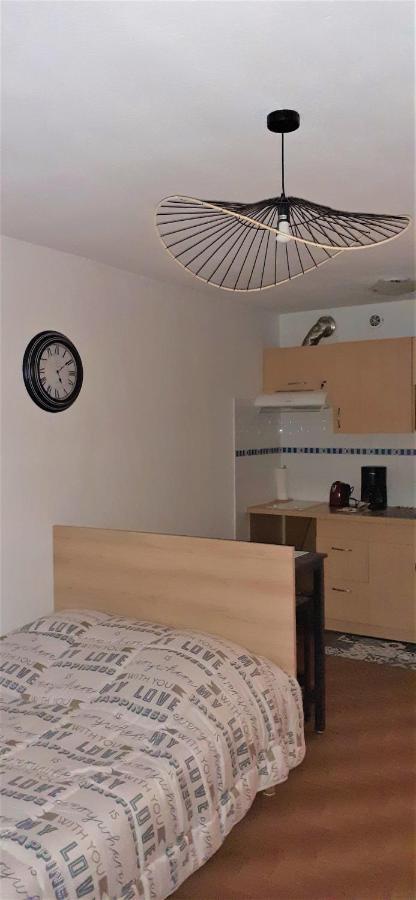 Agreable Logement Proche De La Gare Et Du Polygone Beziers Exterior photo